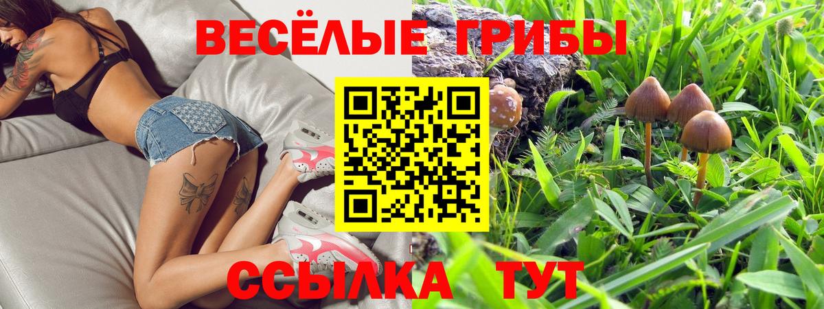 Codein Тайшет