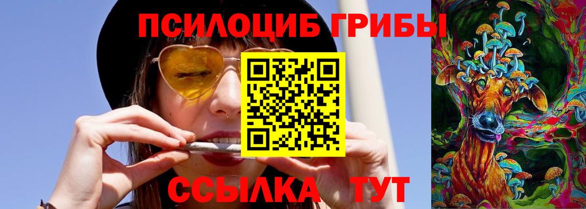 Псилоцибиновые грибы MAGIC MUSHROOMS  купить  цена  Галлюциногенные грибы GOLDEN TEACHER  Тайшет  Вход с VPN 